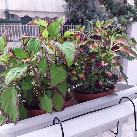 Athens Lovio Apartment Buitenkant foto