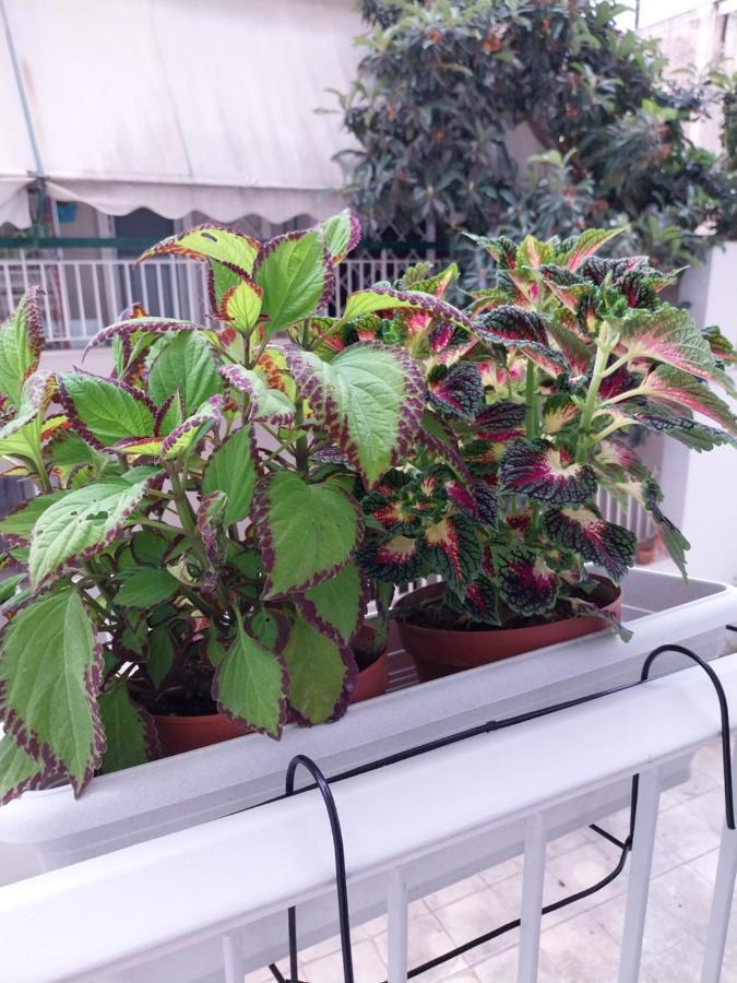 Athens Lovio Apartment Buitenkant foto